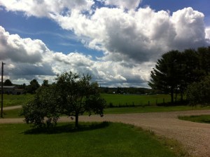 Crédits photo : ADH