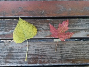 Crédits photo : ADH