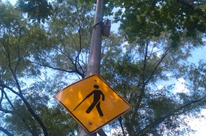 Crédit photo : A. Dadier